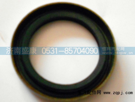 06.56279.0297,德龍油封,濟(jì)南盛康汽車配件有限公司