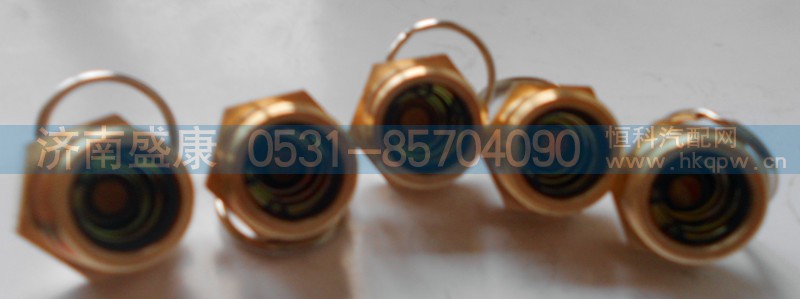 WG9000360115,儲氣筒放水閥,濟南盛康汽車配件有限公司