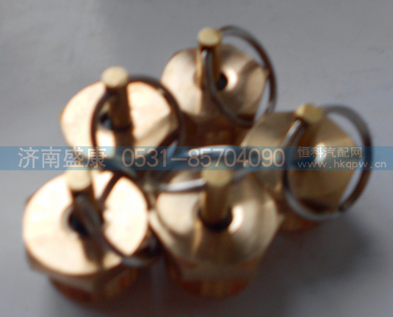 WG9000360115,儲氣筒放水閥,濟南盛康汽車配件有限公司