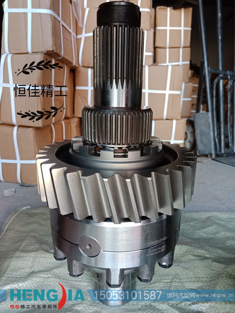 AZ9981320436,差速器总成,济南恒佳精工汽车零部件有限公司