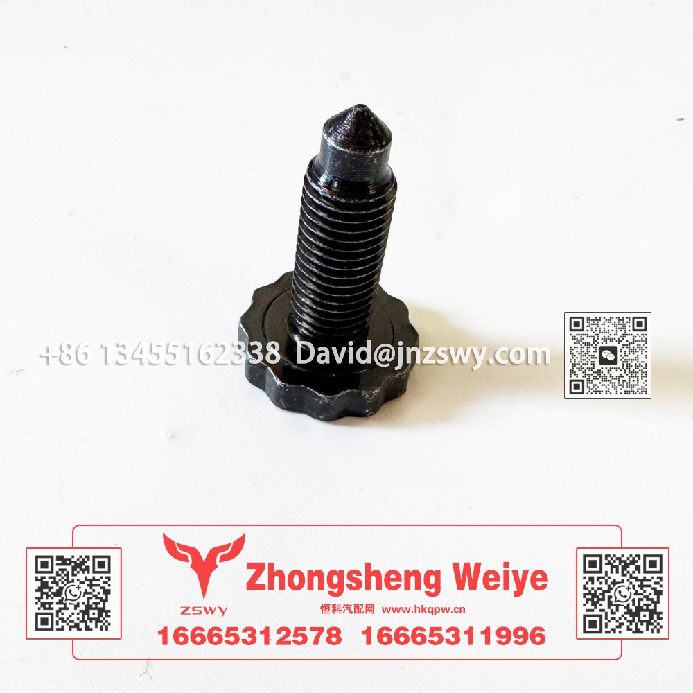 AZ9003890003十二角螺栓短6    4×2.6×2.6 0.05kg