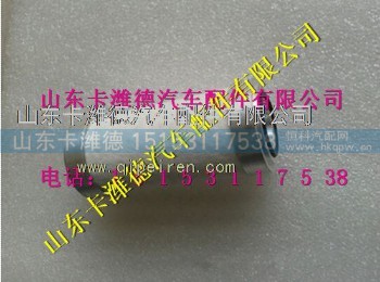 ,重汽豪沃LNG天然气发动机高压滤芯重汽豪沃LNG,山东卡潍德汽车配件有限公司