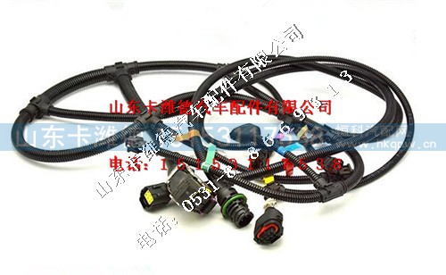 612600090374,潍柴WP10电喷线束,山东卡潍德汽车配件有限公司