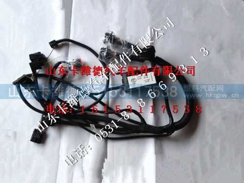 612650080091,潍柴发动机线束,山东卡潍德汽车配件有限公司