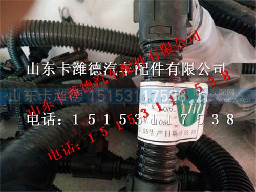 812W25424-6365,重汽曼MC11全功能发动机线束,山东卡潍德汽车配件有限公司