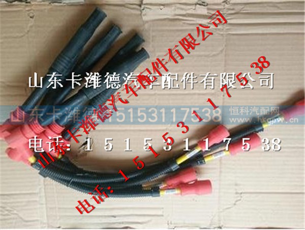 610800190656,潍柴天然气发动机高压线,山东卡潍德汽车配件有限公司