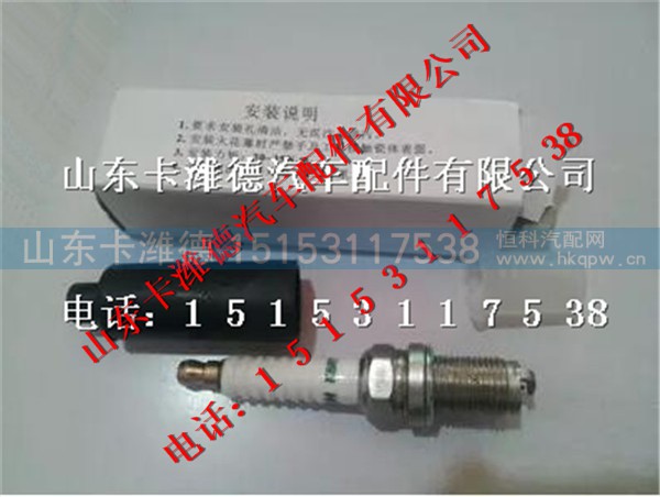 K8RTPP,南充天然气发动机火花塞,山东卡潍德汽车配件有限公司