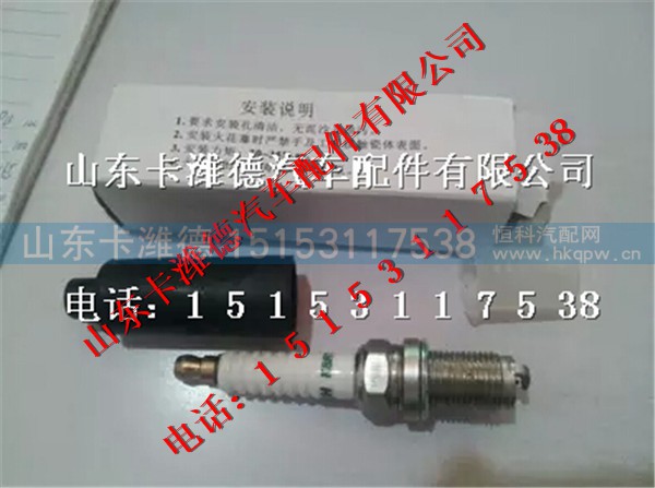 K8RTPP,南充天燃气发动机火花塞,山东卡潍德汽车配件有限公司