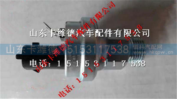 612600080875,潍柴国Ⅲ发动机机油塞,山东卡潍德汽车配件有限公司