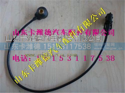 VG1238090005,重汽天然气爆震传感器,山东卡潍德汽车配件有限公司