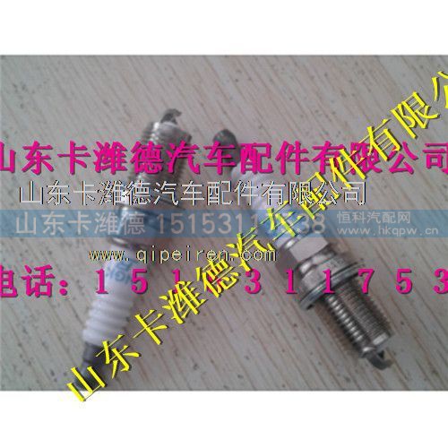VG1560080701,重汽天然气火花塞,山东卡潍德汽车配件有限公司