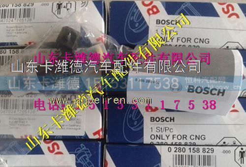 028 0258 829,博士潍柴天然气发动机燃气喷嘴,山东卡潍德汽车配件有限公司
