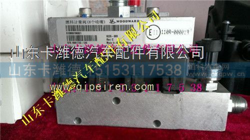 612600190369,潍柴WP12天然气喷射阀,山东卡潍德汽车配件有限公司
