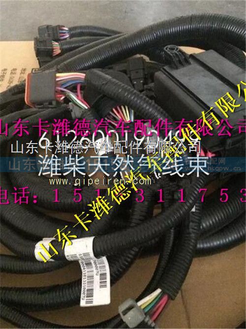 612600190499,潍柴WP10CNG天然气发动机配件ECU线束,山东卡潍德汽车配件有限公司