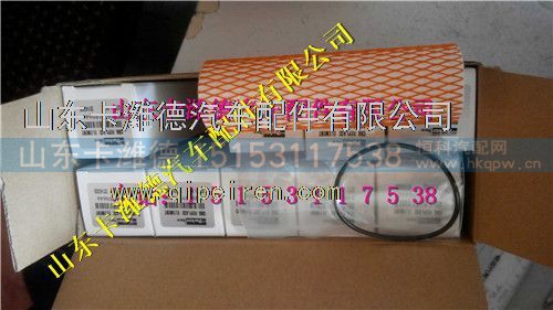 612600190646,潍柴天然气LNG低压滤清器滤芯,山东卡潍德汽车配件有限公司