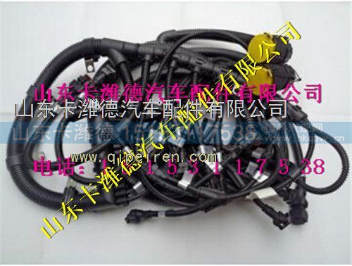 612600190736,潍柴天然气发动机线束,山东卡潍德汽车配件有限公司