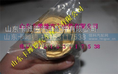 DZ9259560159,潍柴天然气卡车气瓶配件LNG经济阀,山东卡潍德汽车配件有限公司