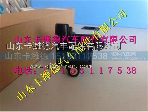VG1092080015,重汽天然气点火线圈总成,山东卡潍德汽车配件有限公司