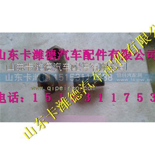 VG1238110016,重汽天然气过渡接头,山东卡潍德汽车配件有限公司