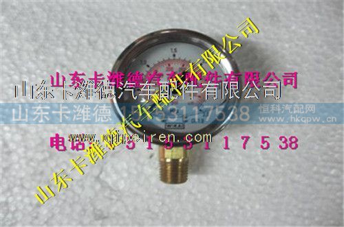 WG10000001（DZ93259560144）,西安德森LNG气瓶径向压力表,山东卡潍德汽车配件有限公司