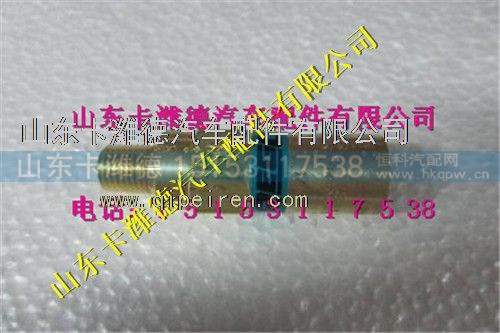 WG10000004（DZ93259560146）,西安德森LNG气瓶主安全阀,山东卡潍德汽车配件有限公司