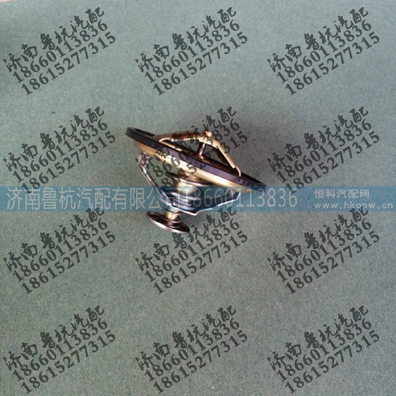 13021132,调温器,济南鲁杭汽配有限公司