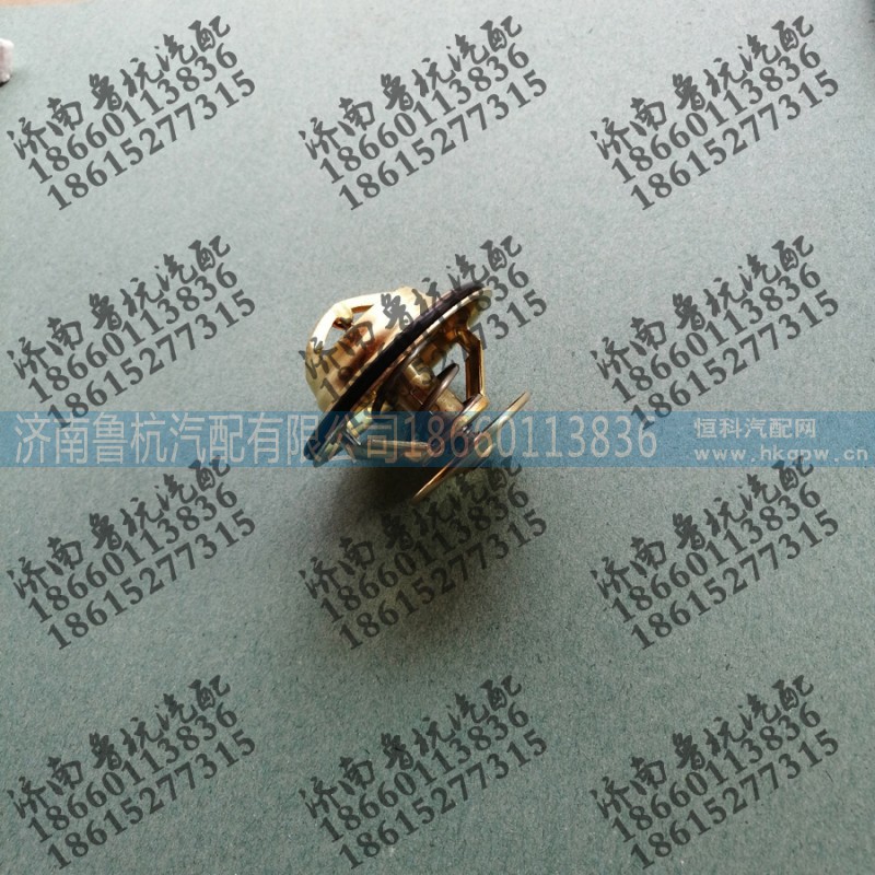 VG1246060029,調(diào)溫器,濟南魯杭汽配有限公司