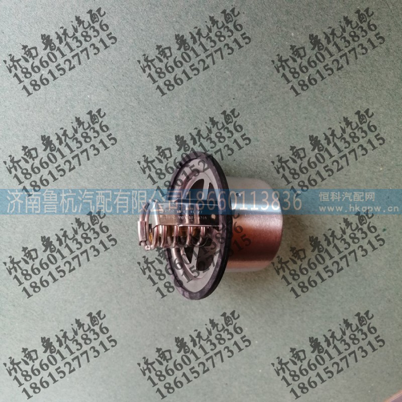VG1600061201,調(diào)溫器,濟(jì)南魯杭汽配有限公司