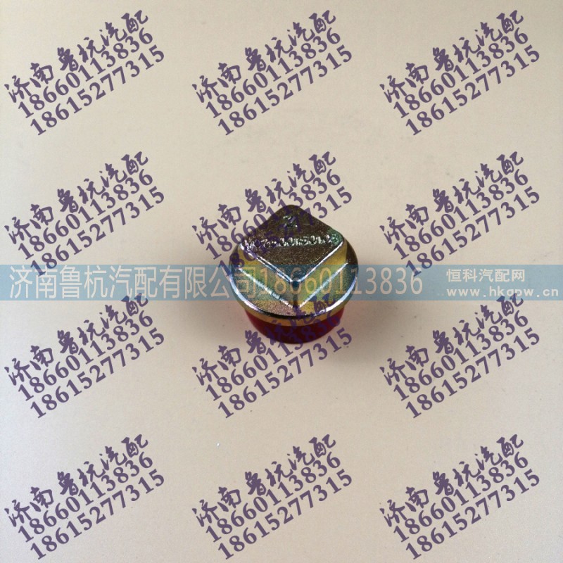 VG2600150108,外四方油底放油螺絲VG2600150108,濟南魯杭汽配有限公司