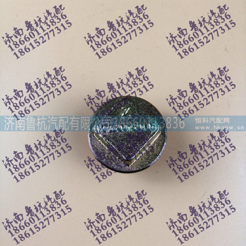 VG2600150108,外四方油底放油螺絲VG2600150108,濟南魯杭汽配有限公司