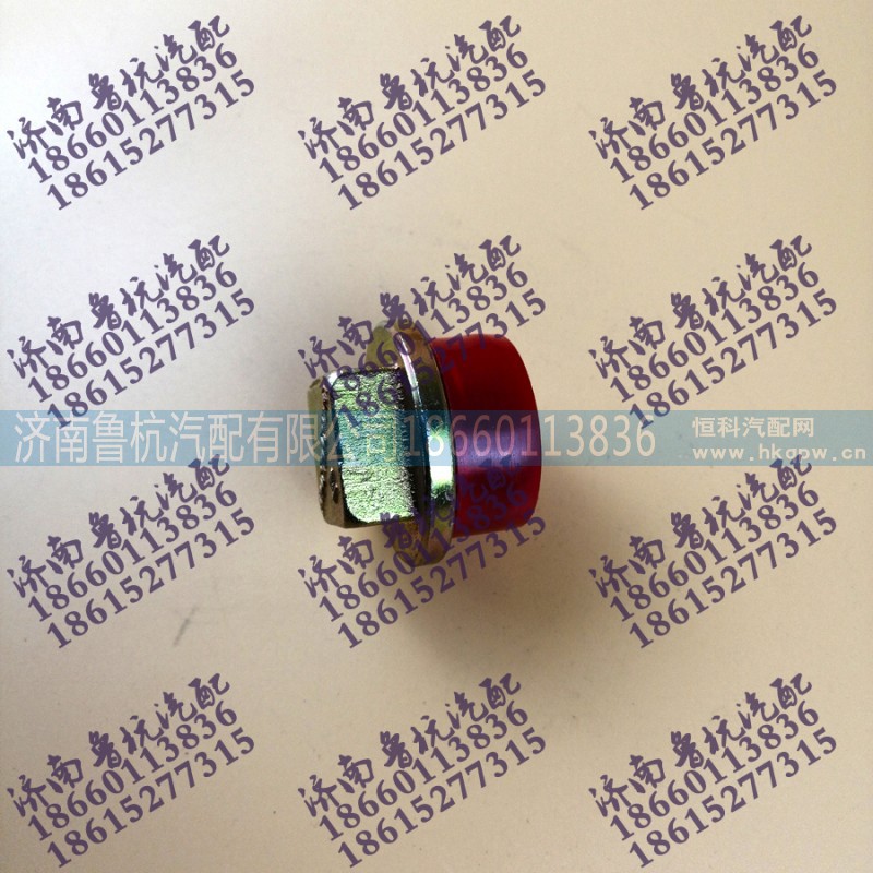 VG2600150108,外四方油底放油螺絲VG2600150108,濟南魯杭汽配有限公司