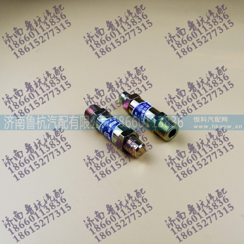 ,安全閥總成,濟(jì)南魯杭汽配有限公司