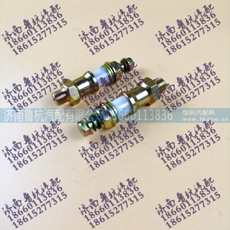 VG2600080213,高压油泵溢流阀VG2600080213,济南鲁杭汽配有限公司