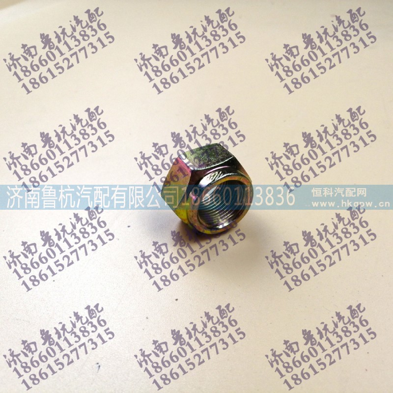 190003888467,自鎖螺母190003888467 M20×1.5,濟南魯杭汽配有限公司