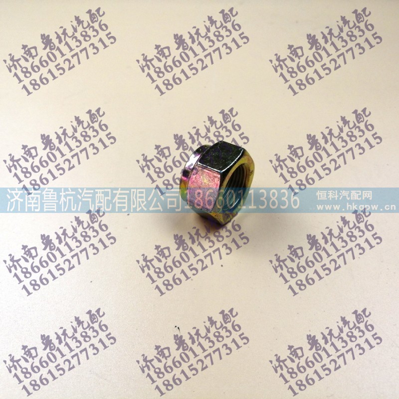 190003888467,自鎖螺母190003888467 M20×1.5,濟南魯杭汽配有限公司