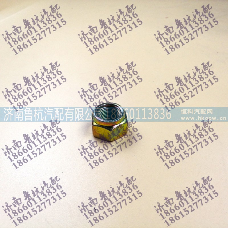 190003888467,自鎖螺母190003888467 M20×1.5,濟南魯杭汽配有限公司