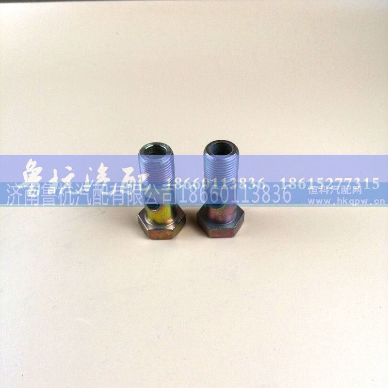 ,空芯螺丝ø20,济南鲁杭汽配有限公司