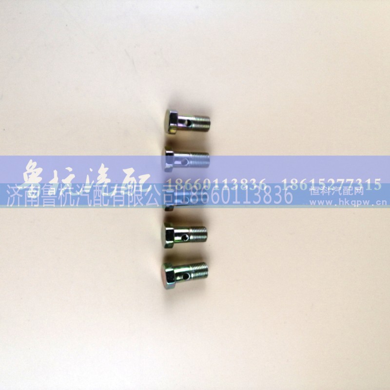 M=12,空芯螺丝12,济南鲁杭汽配有限公司