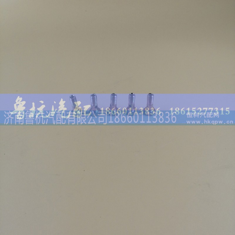 M=6,空芯螺丝6,济南鲁杭汽配有限公司