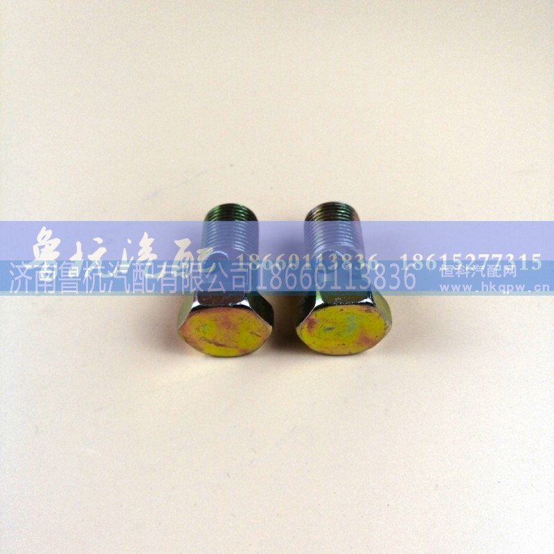 ,空芯螺丝20x35,济南鲁杭汽配有限公司