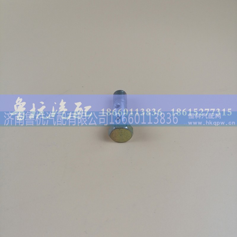 ,空芯螺丝18x35,济南鲁杭汽配有限公司