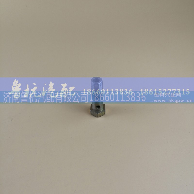 ,空芯螺丝18x35,济南鲁杭汽配有限公司