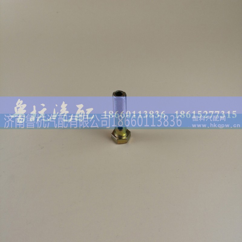 ,空芯螺丝16x45,济南鲁杭汽配有限公司