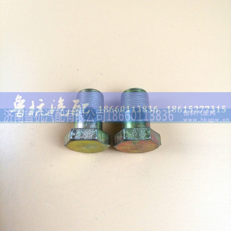,变速箱空芯螺丝16x70,济南鲁杭汽配有限公司