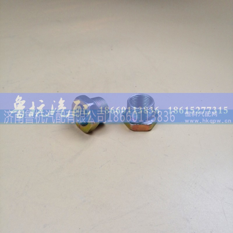 ,變徑接頭 內(nèi)外18x22,濟(jì)南魯杭汽配有限公司