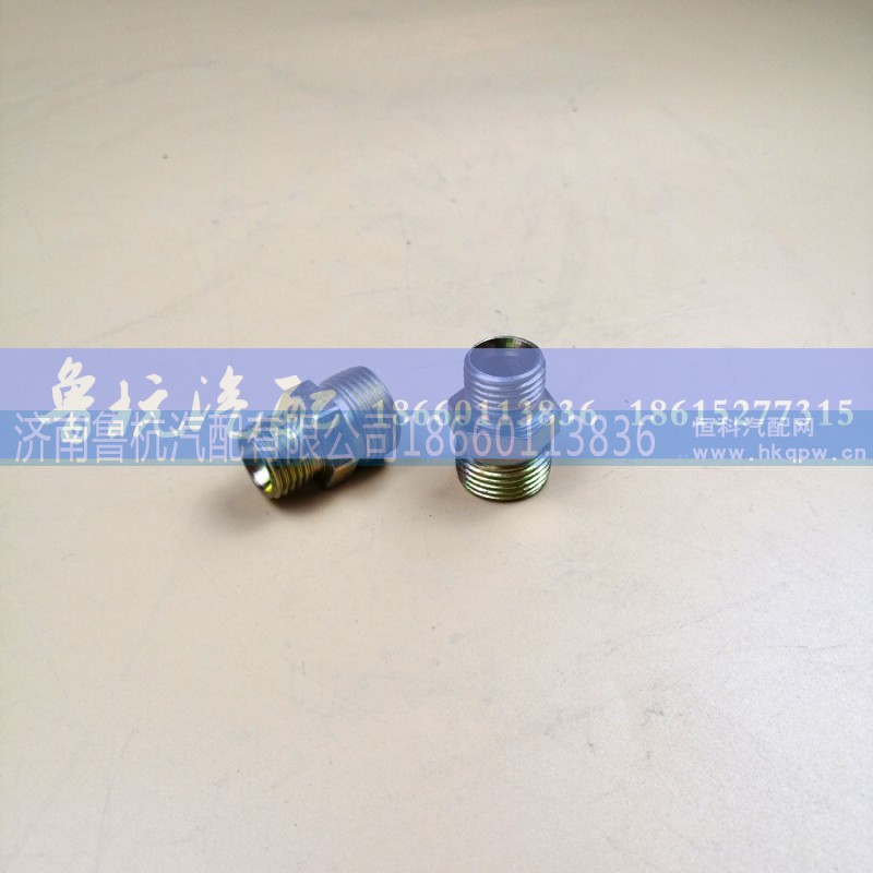 18x20,變徑接頭,濟南魯杭汽配有限公司