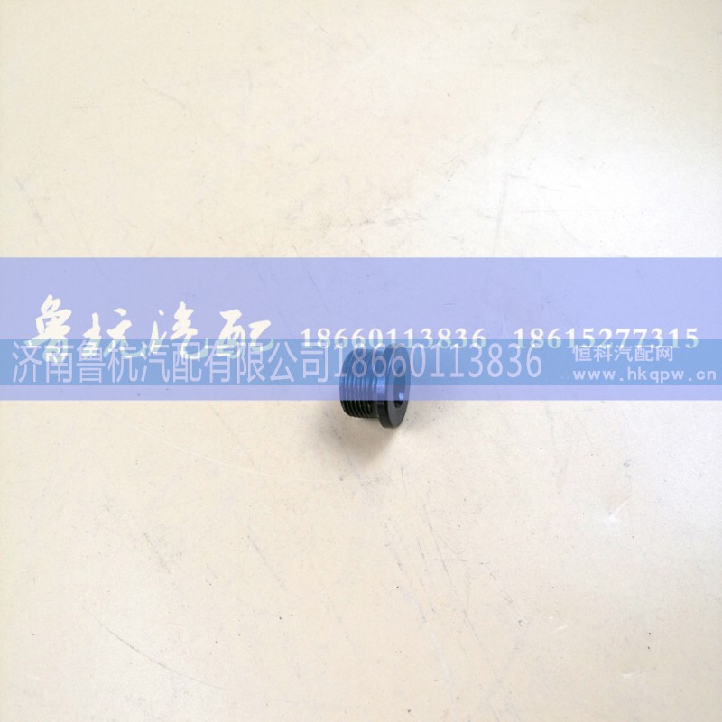 M=14,轮边堵盖,济南鲁杭汽配有限公司 M=14,轮边堵盖,济南鲁杭汽配有限公司