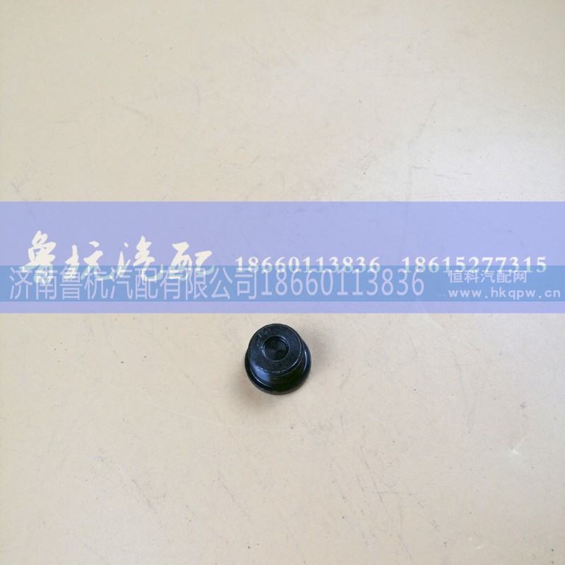 M=14,轮边堵盖,济南鲁杭汽配有限公司 M=14,轮边堵盖,济南鲁杭汽配有限公司
