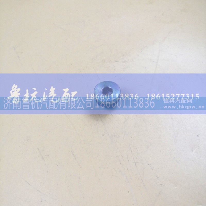 M=22,轮边堵盖,济南鲁杭汽配有限公司