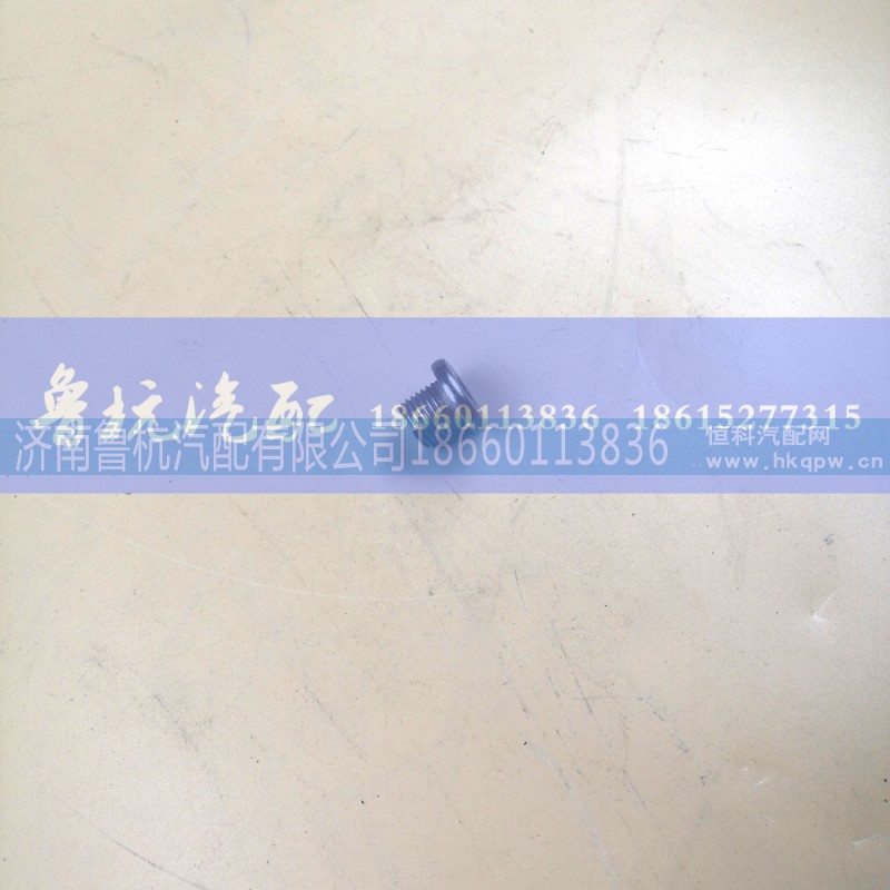 M14,堵头,济南鲁杭汽配有限公司 M14,堵头,济南鲁杭汽配有限公司